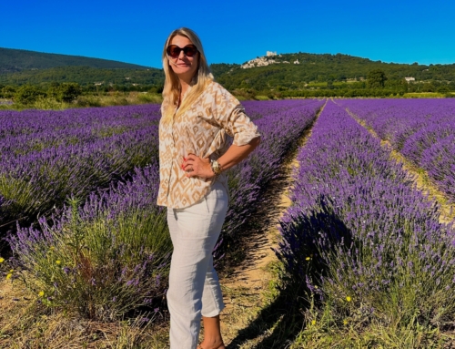 Perfect Days in Provence