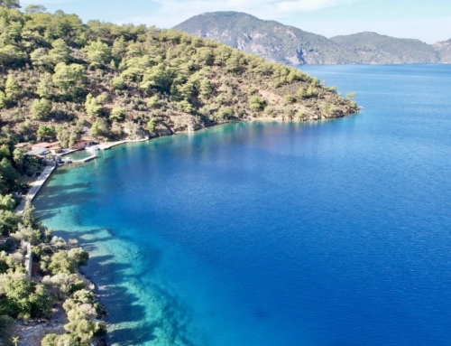 Embracing Turkey’s Stunning Nature and Vibrant Lifestyle in GÖCEK 